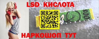 крисы Кингисепп