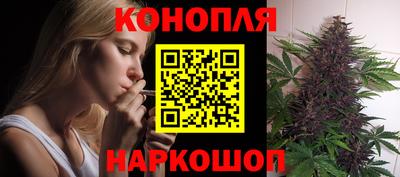 крисы Кингисепп