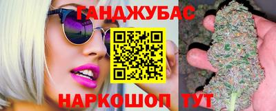 крисы Кингисепп