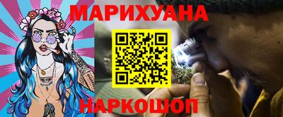 крисы Кингисепп