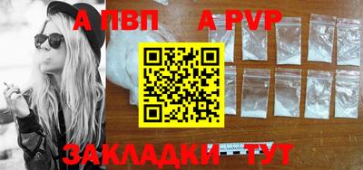 крисы Кингисепп