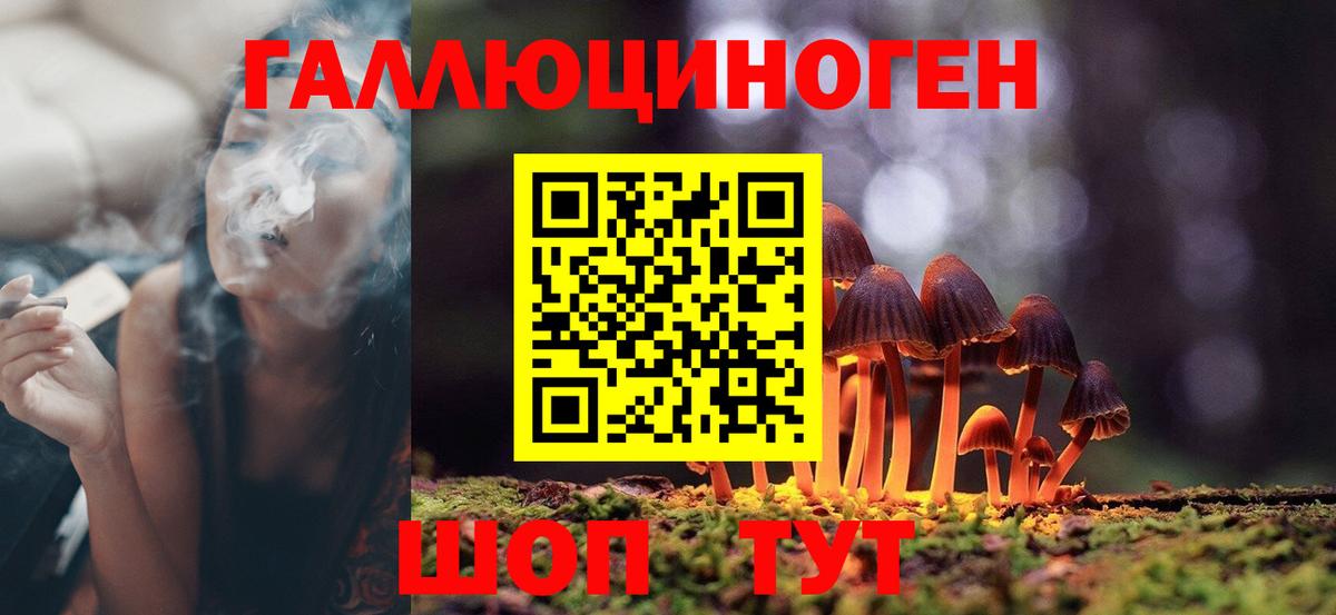 Псилоцибиновые грибы Cubensis  Псилоцибиновые грибы Magic Shrooms  Котлас  Вход с VPN 
