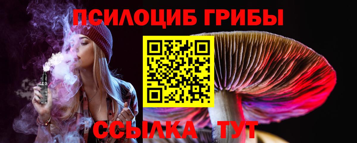 Галлюциногенные грибы MAGIC MUSHROOMS Котлас