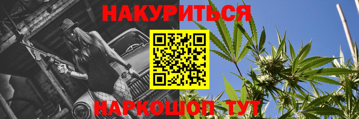 Канабис сатива Котлас
